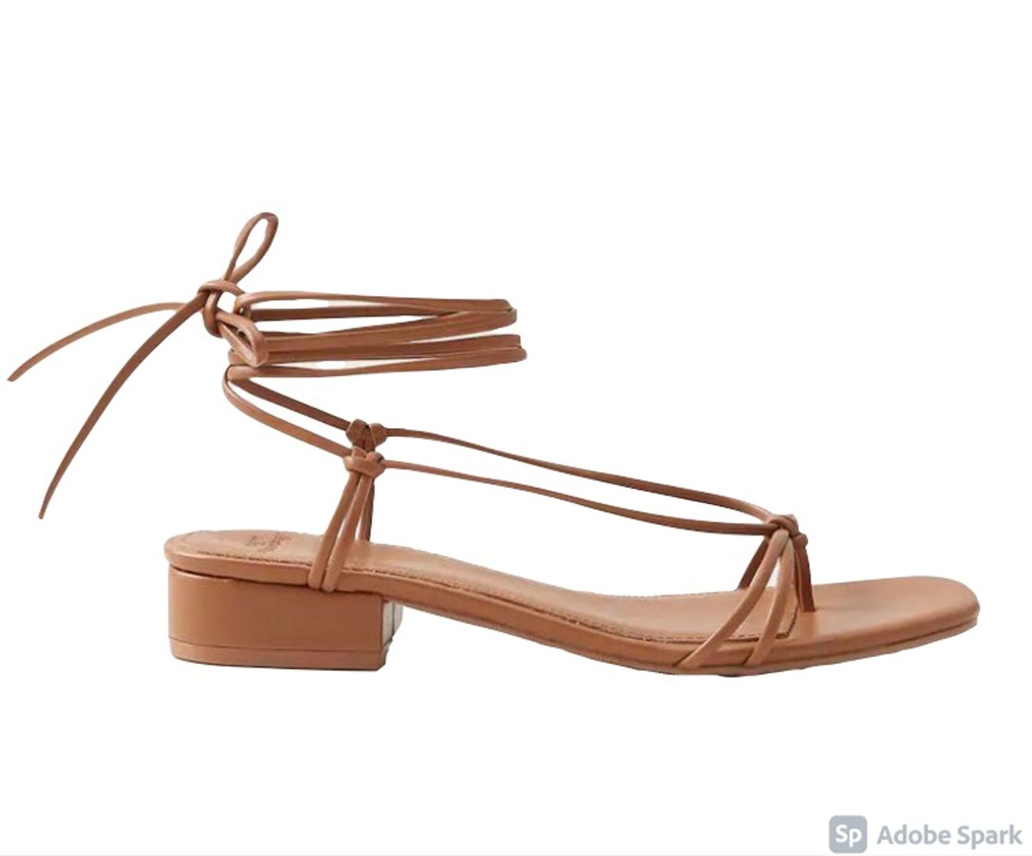 Abercrombie and Fitch